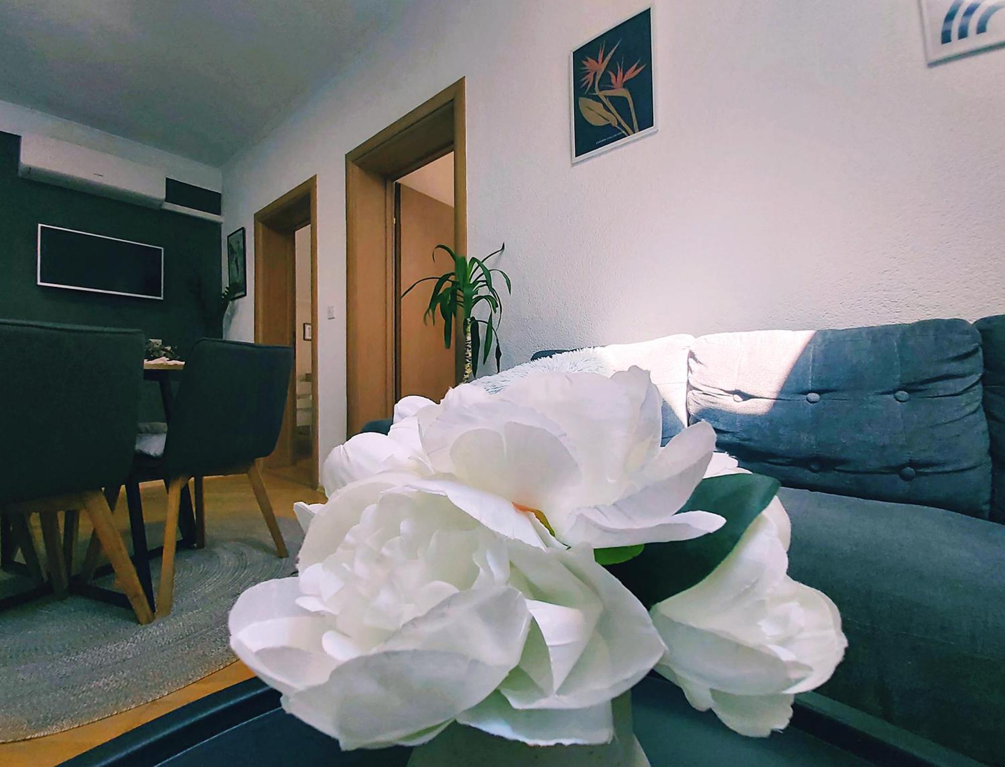 Zara Apartment With Terrace Near Old Town Mostar Exteriér fotografie